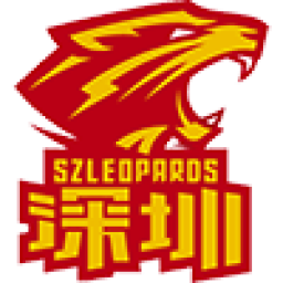 深圳队标