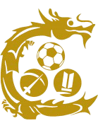 九龙城U22队标